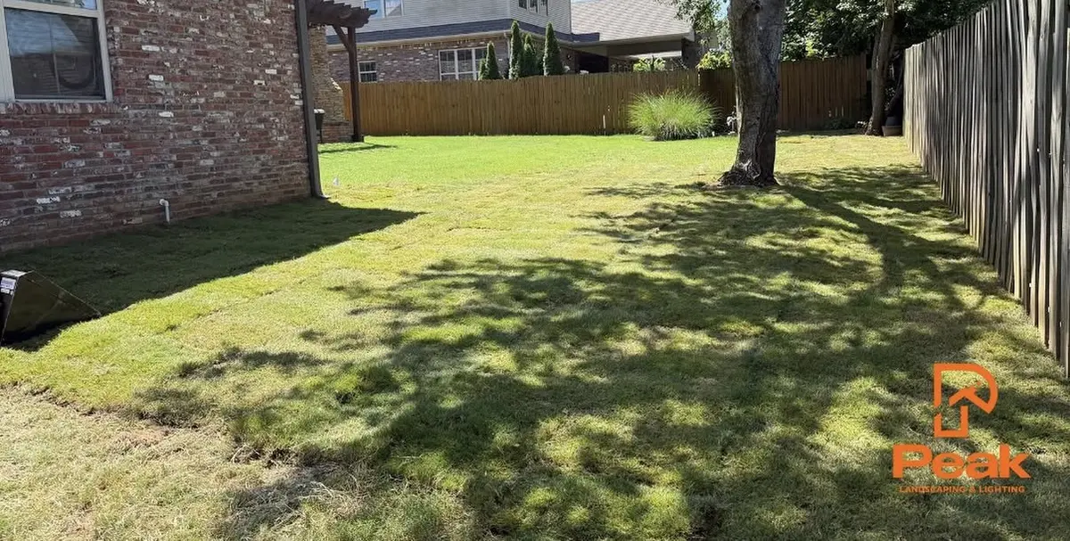Shaded backyard lawn under a mature tree, edged by a timber privacy fence