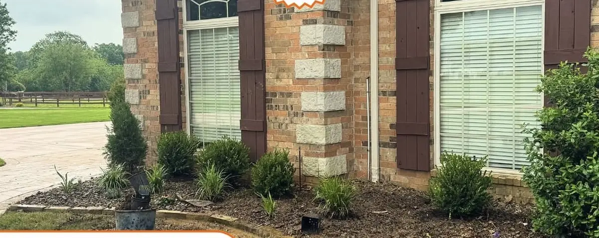 Brick home front with a new bed of ornamental grasses and shrubs set in dark mulch