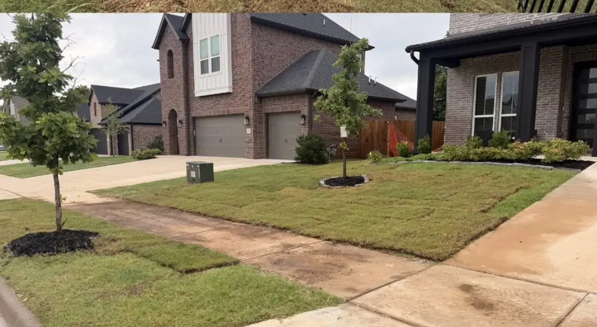 Freshly laid sod across the front yard of a new brick home with a young tree and a mulched bed