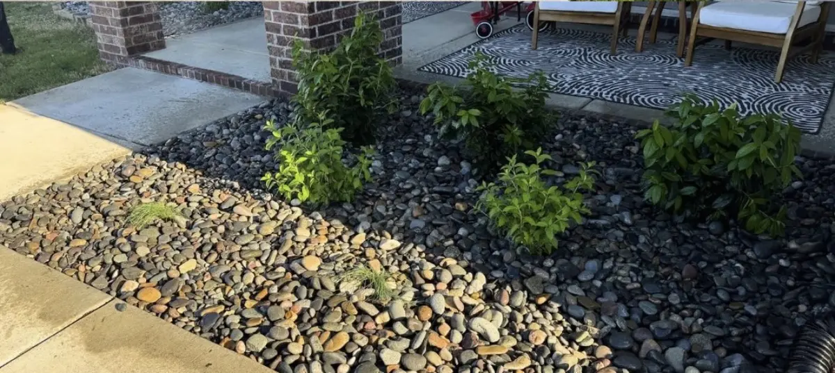 River rock bed planted with young shrubs running alongside a concrete walkway next to a patio